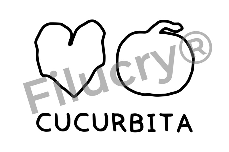 "Kürbis" Plotterdatei, Digitaler Download, SVG / JPG / PNG / PDF