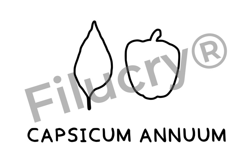 "Paprika" Plotterdatei, Digitaler Download, SVG / JPG / PNG / PDF