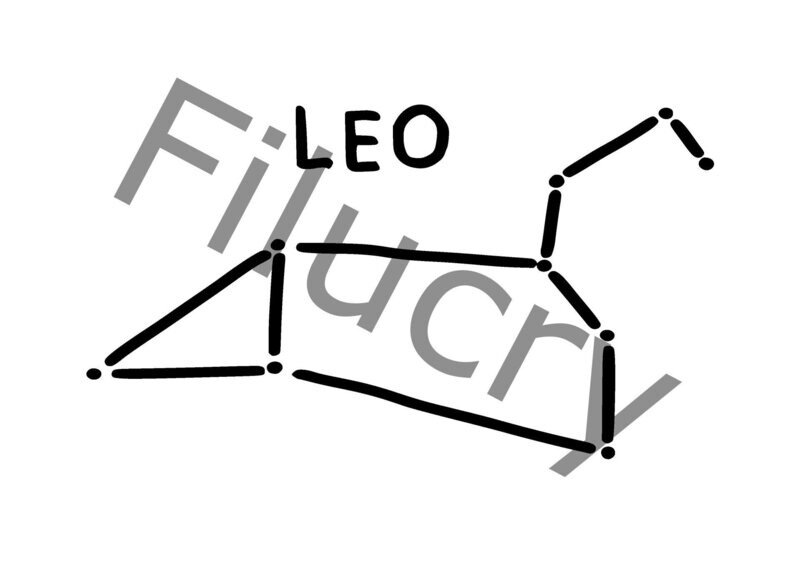 Constellation Zodiac Leo Banner, digital download, SVG / JPG / PNG / PDF Constellation Zodiac Leo Banner, digital download, SVG / JPG / PNG / PDF