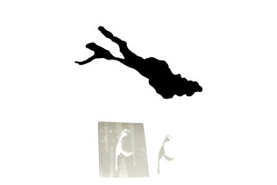 Schablonenfolie Bodensee