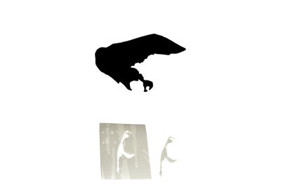 Schablonenfolie Borkum