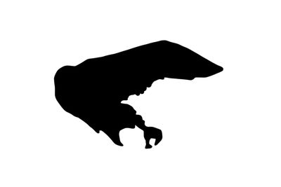 Umriss Insel Borkum Magnet