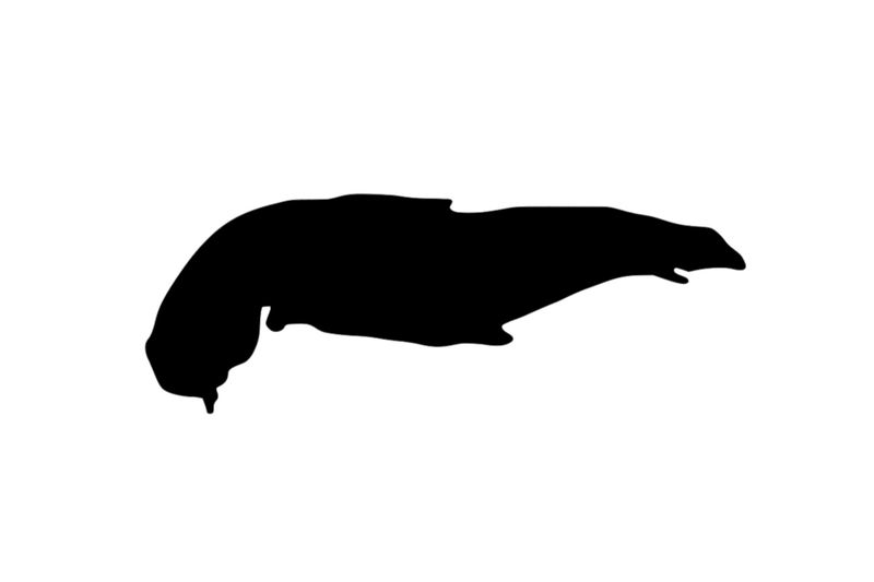 Umriss Insel Spiekeroog Magnet Umriss Insel Spiekeroog Magnet