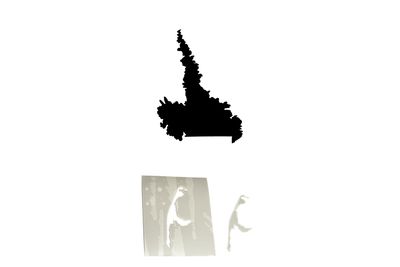 Schablonenfolie Labrador