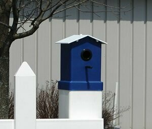 Bird House