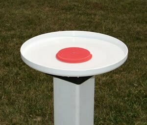Bird Bath