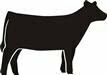 Black Heifer