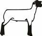 Suffolk Lamb