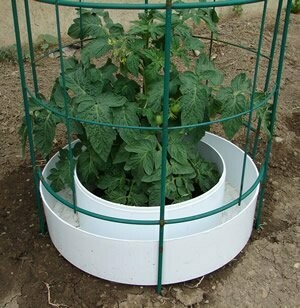 Plant Watering Ring