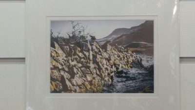 ME Photography - 8x10'' prints