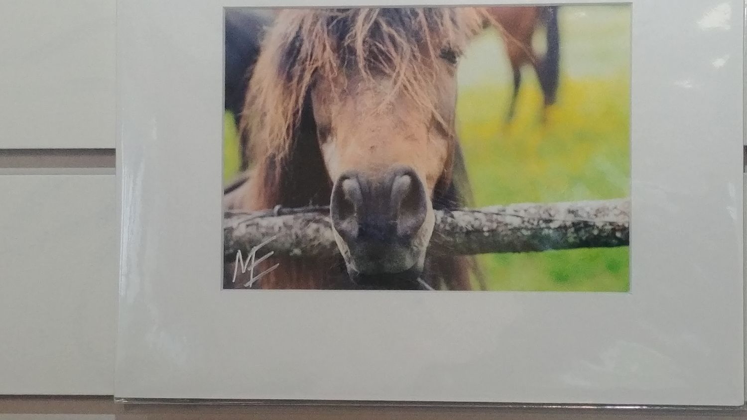 ME Photography - 8x10&#39;&#39; prints