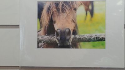 ME Photography - 8x10&#39;&#39; prints