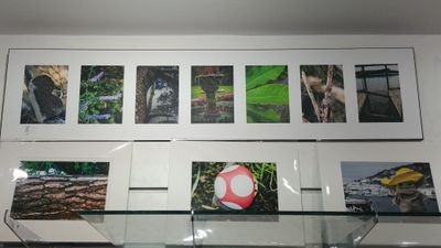 ME Photography - Picture a Word Selection