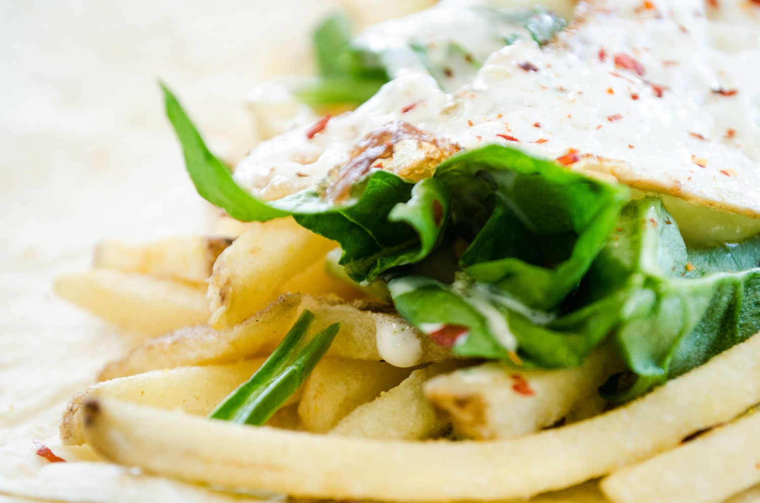 Vegetarian Farmer Wrap - Spinach + Parsley Sauce + Egg + Cheese + Fries ( More adds optional) Vegetarian Farmer Wrap - Spinach + Parsley Sauce + Egg + Cheese + Fries ( More adds optional)