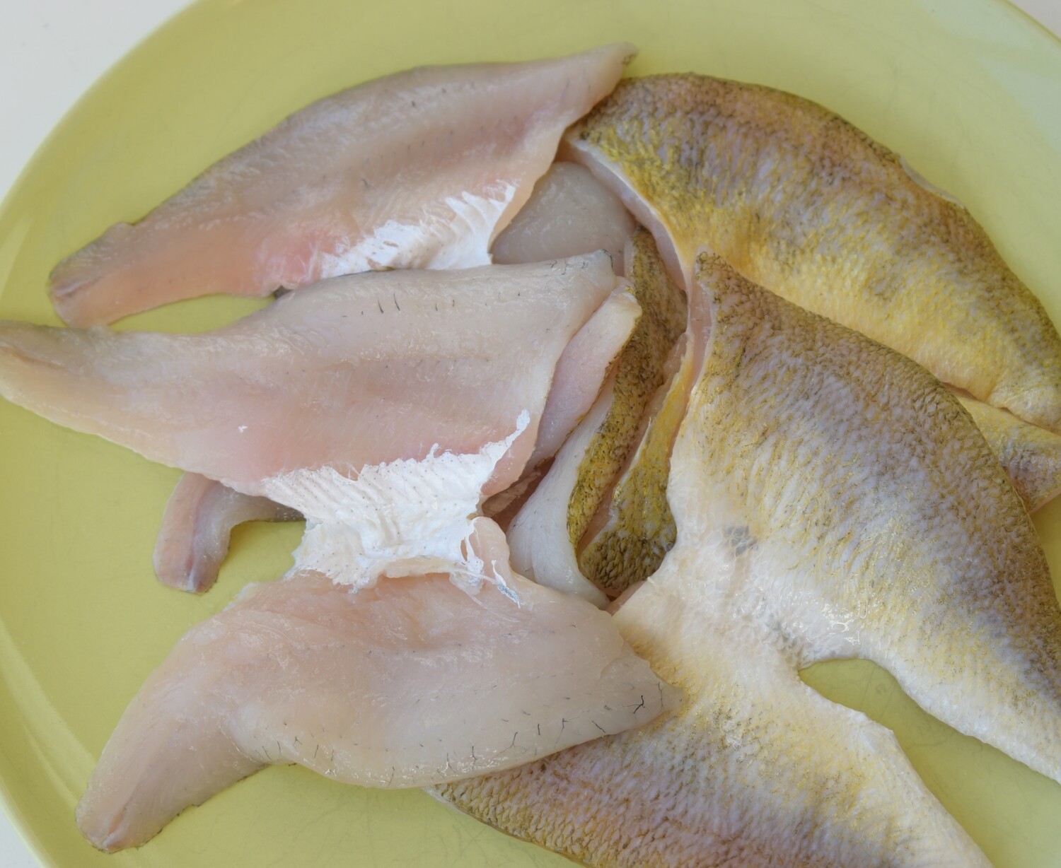 Difference Between White And Yellow Lake Perch at Marco Ruck blog