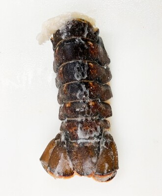 Cold Water Lobster Tail 8 oz