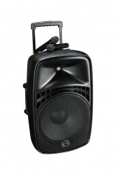 EZ-12A Powered Portable System With Mics
