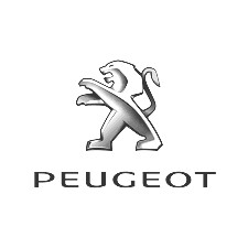 Peugeot Camper