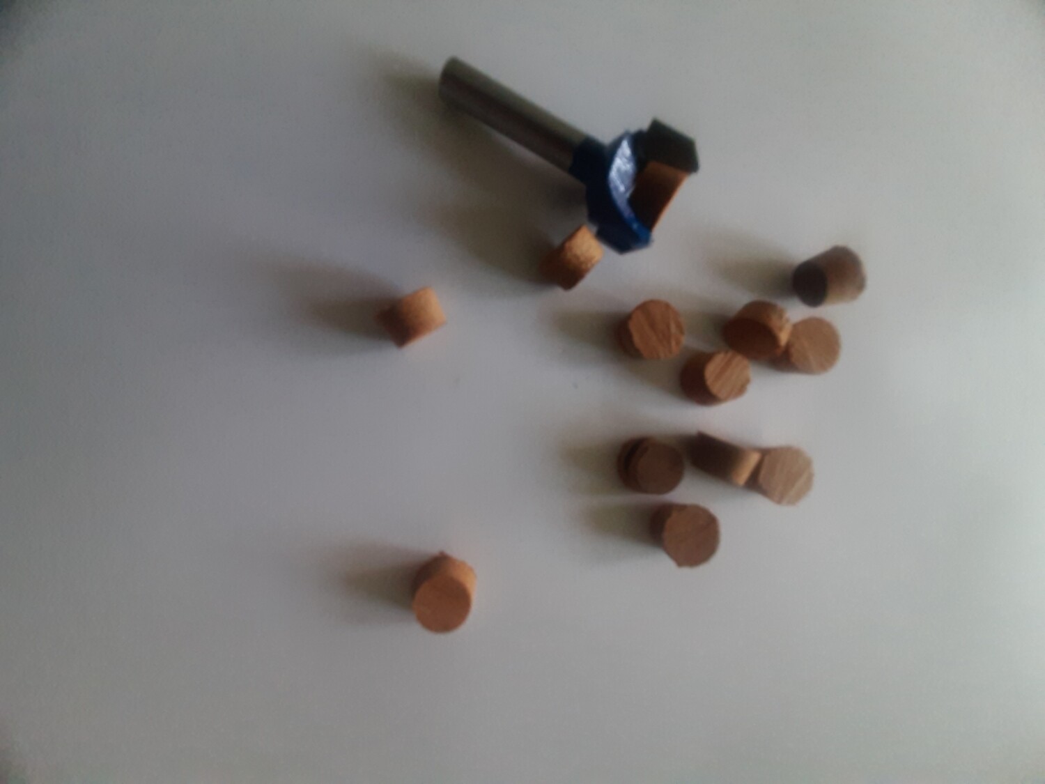 CLAVACOTE CONICO