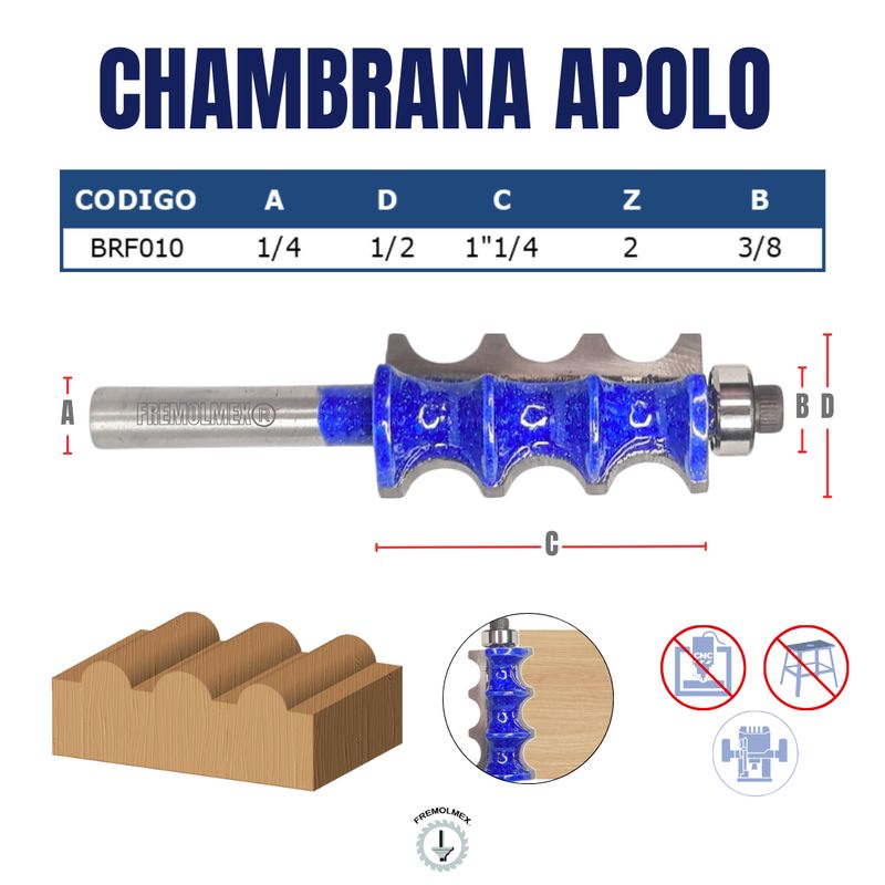CHAMBRANA APOLO