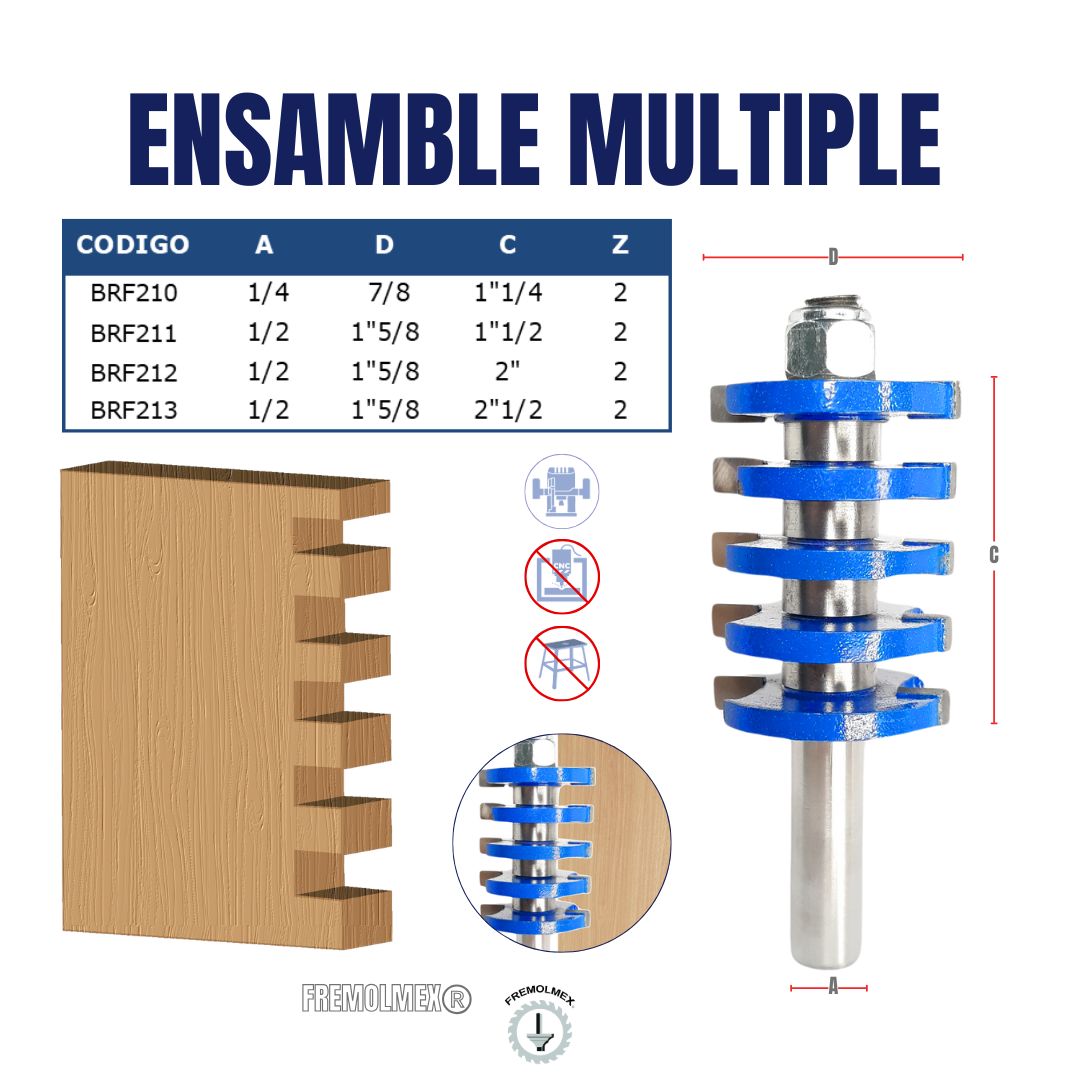 ENSAMBLE MULTIPLE