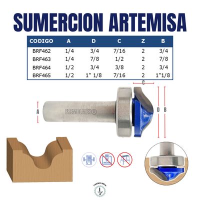 SUMERCION ARTEMISA