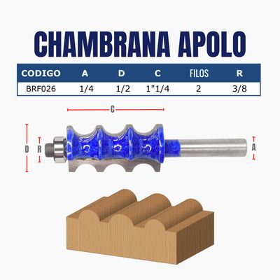 CHAMBRANA APOLO
