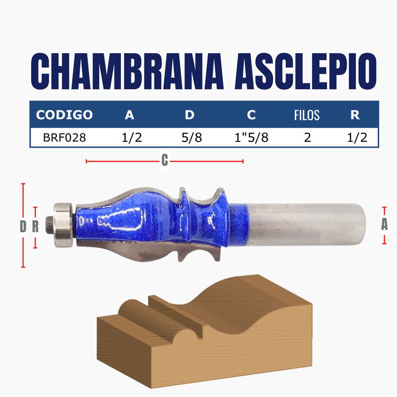 CHAMBRANA ASCLEPIO