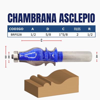 CHAMBRANA ASCLEPIO