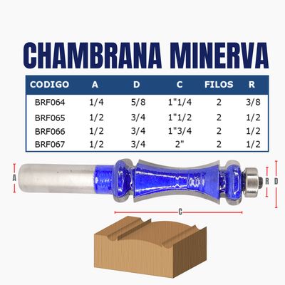 CHAMBRANA MINERVA