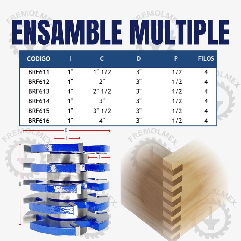 ENSAMBLE MULTIPLE