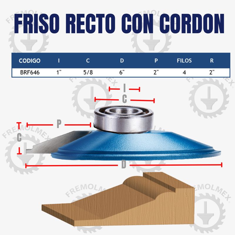 FRISO RECTO CON CORDON