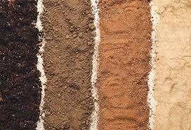 Soils