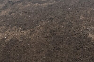 A closer look at our Top soil at Tree Aesthetics
