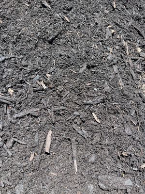 Essential Plant Mix Essential Plant Mix