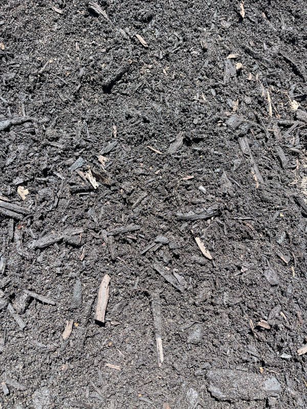 Essential Plant Mix