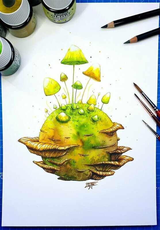 [Vendu] Planète Champignon