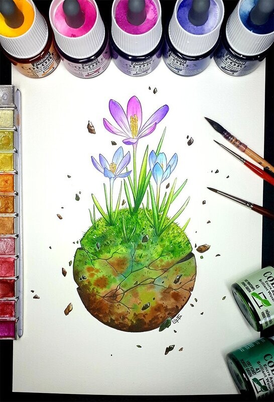[Vendu] Planète Crocus