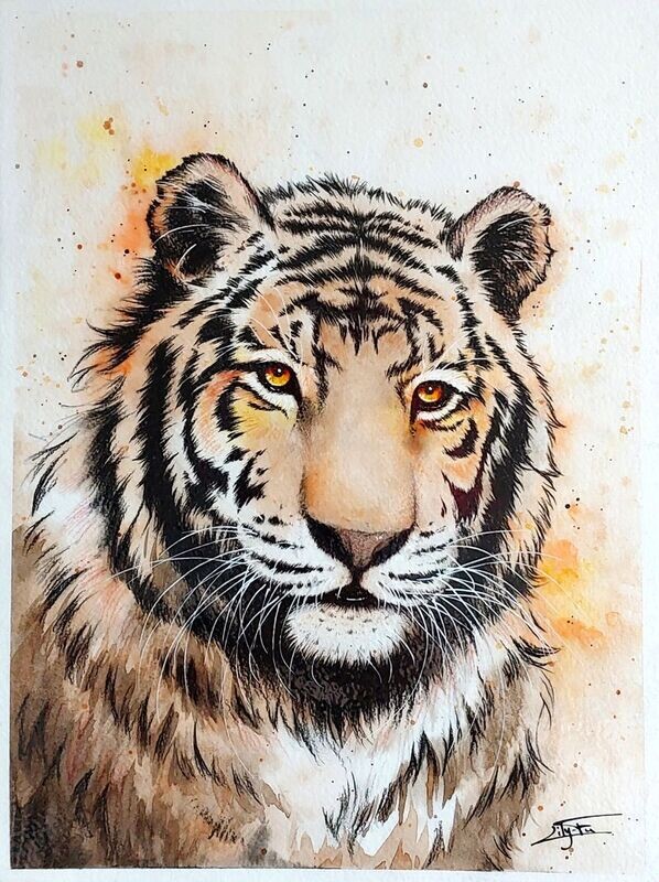 Tigre - mixed media