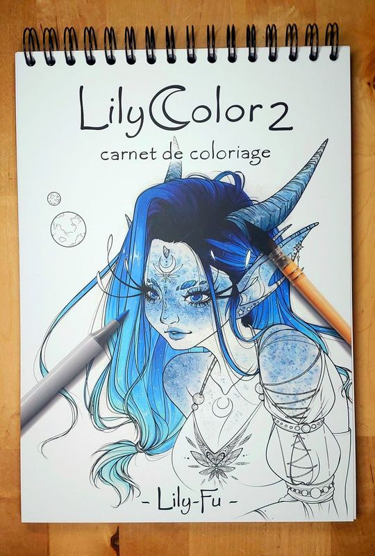 LilyColor 2 : Carnet de Coloriage 2024