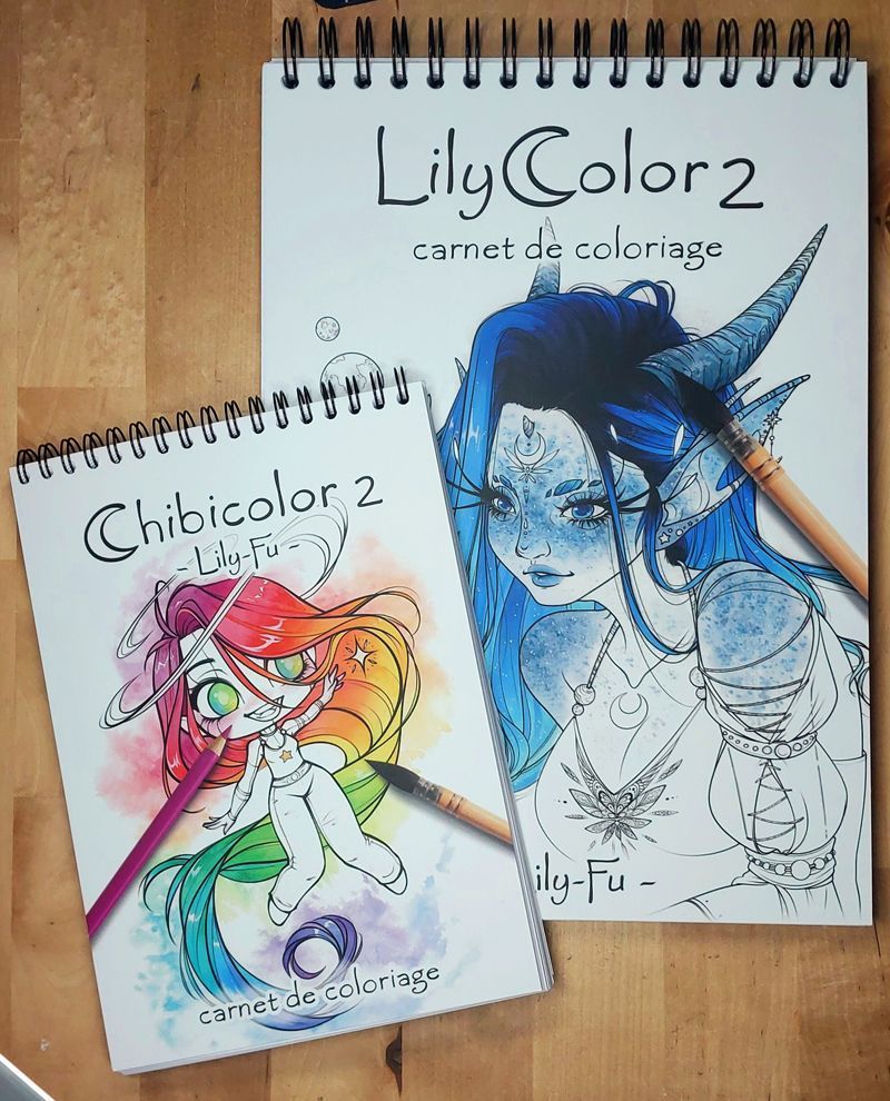 FullColor 2 : Carnets de Coloriage 2024