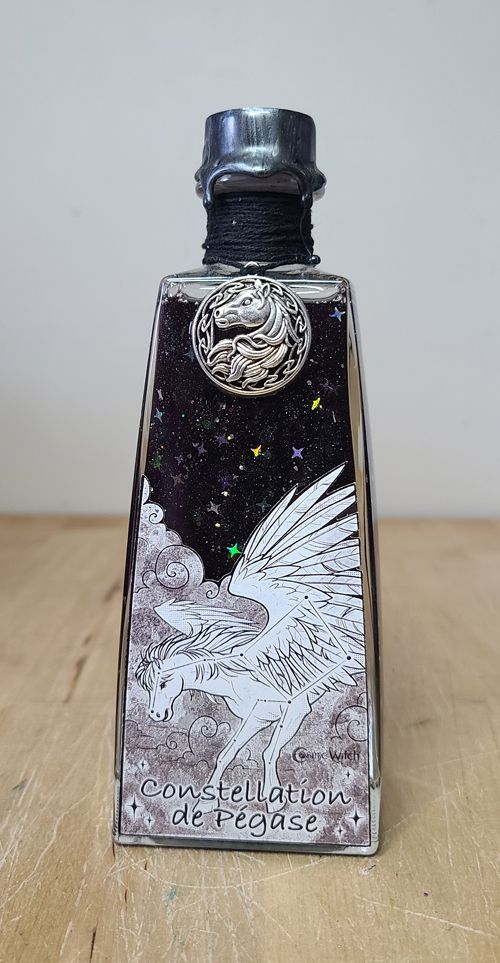 Constellation de Pégase - noir