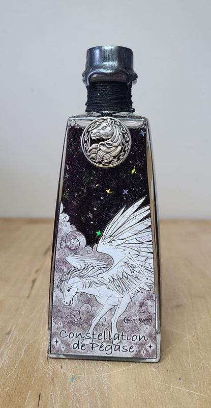 Constellation de Pégase - noir
