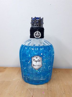 Trésor Cosmique : Magellan Trésor Cosmique : Magellan