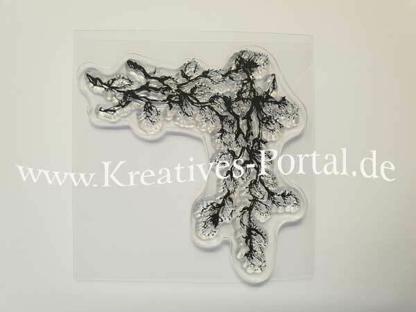 Clear Stempel Weidenkätzchen