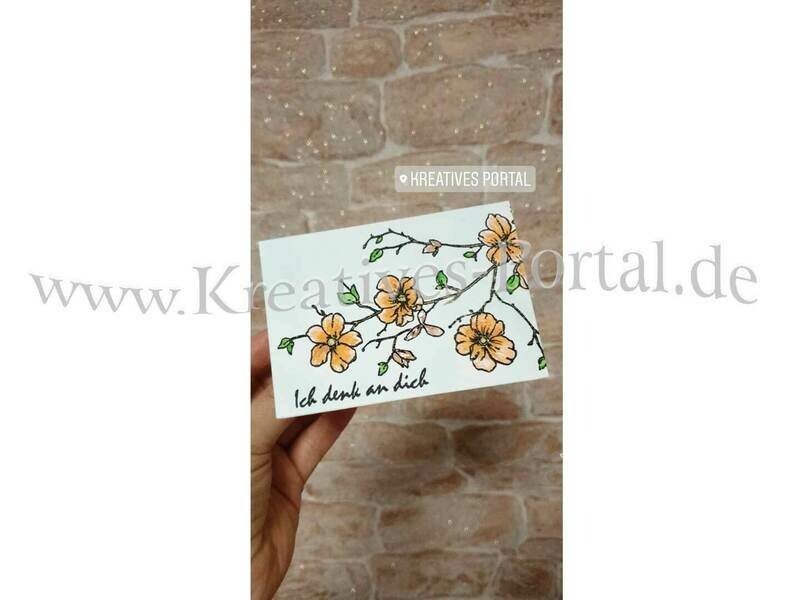 Stempel Kirschblüten am Zweig