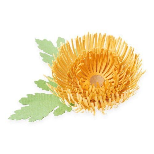 Stanze Chrysantheme