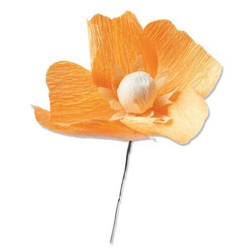 Stanze Mohnblume