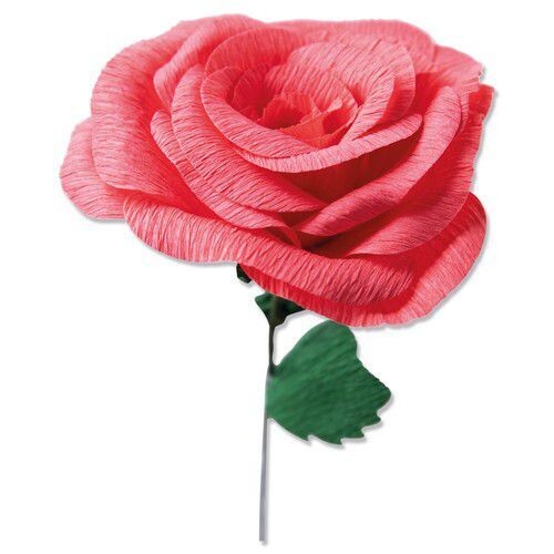 Stanze Rose