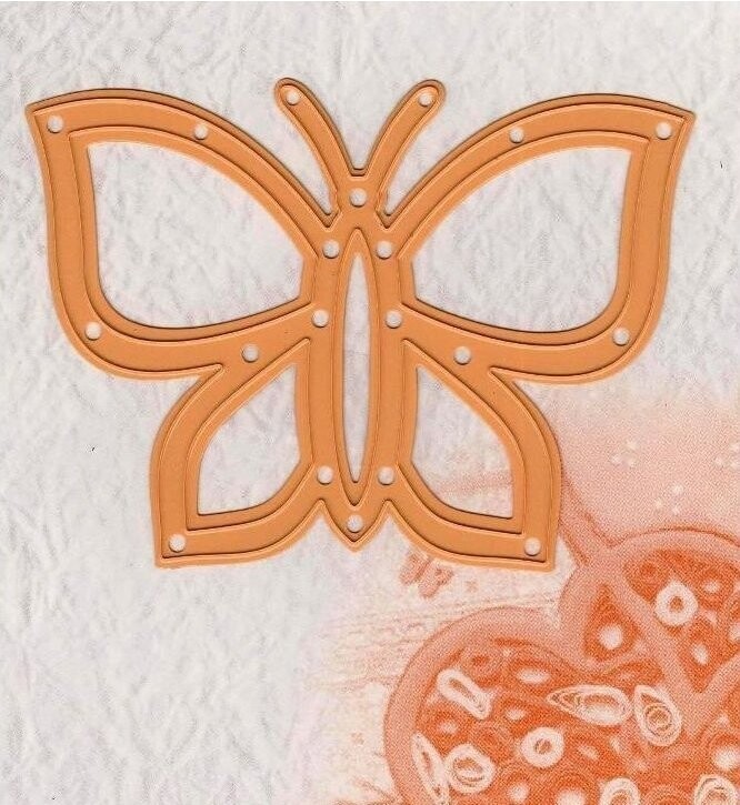 Stanze Schmetterling